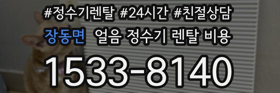 장동면 얼음 정수기 렌탈 비용