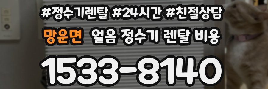 망운면 얼음 정수기 렌탈 비용