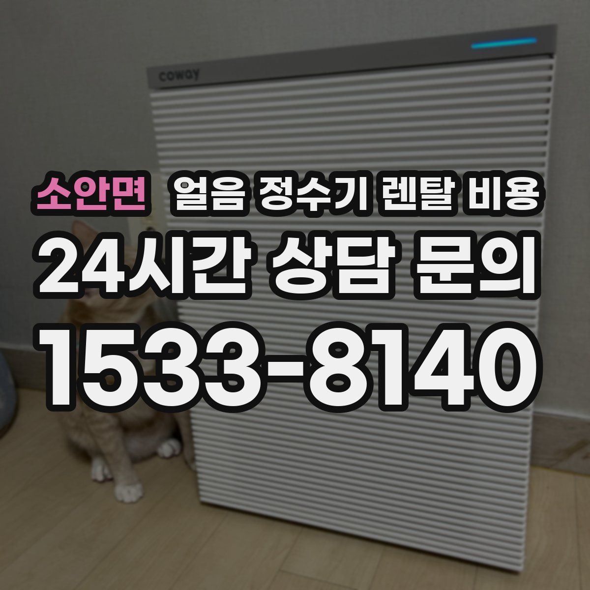 소안면 얼음 정수기 렌탈 비용