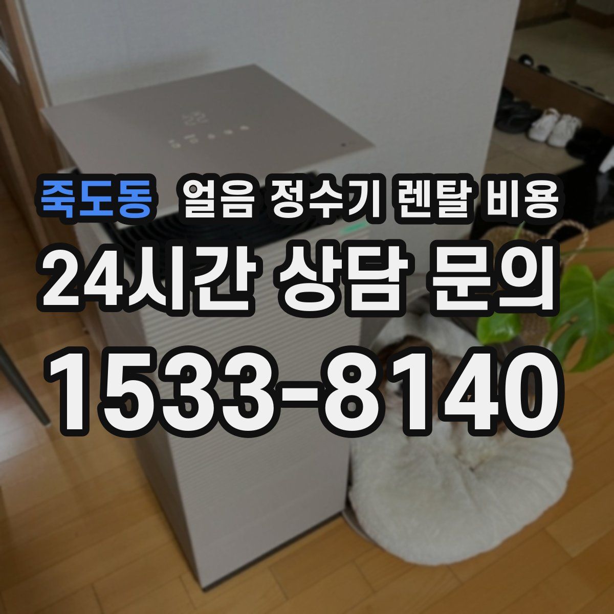 죽도동 얼음 정수기 렌탈 비용