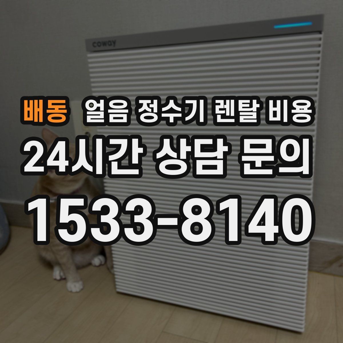배동 얼음 정수기 렌탈 비용 렌탈료가 저렴한 제품의 특징