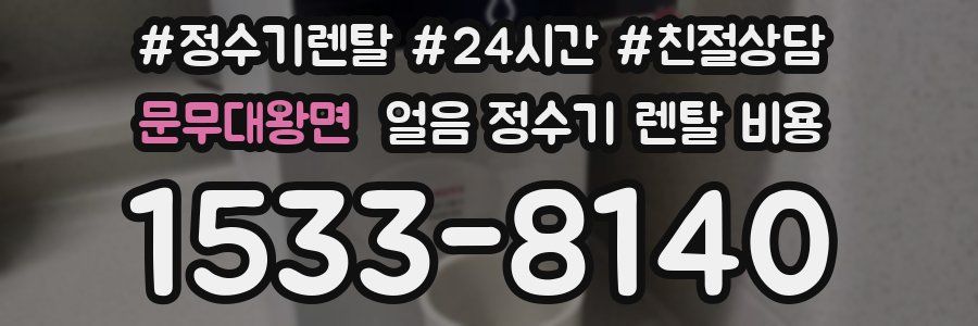 문무대왕면 얼음 정수기 렌탈 비용
