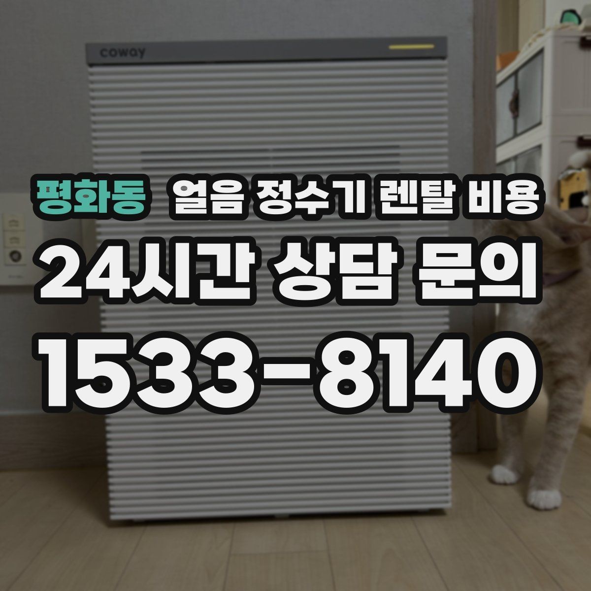 평화동 얼음 정수기 렌탈 비용 작은 차이가 큰 만족도로 이어지는 이유