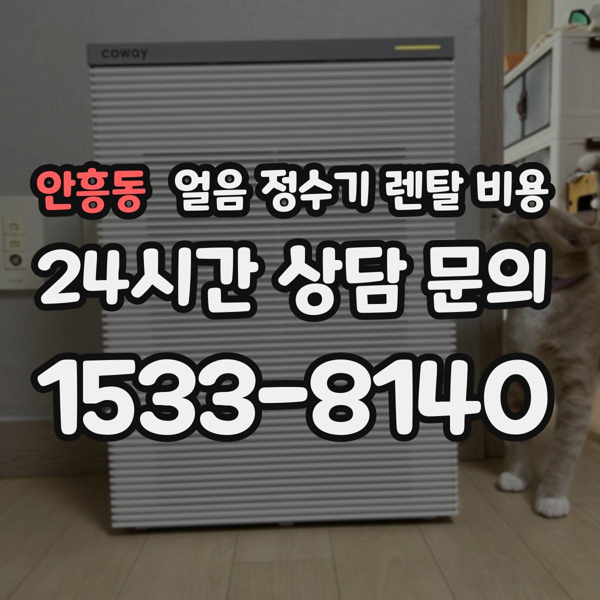 안흥동 얼음 정수기 렌탈 비용