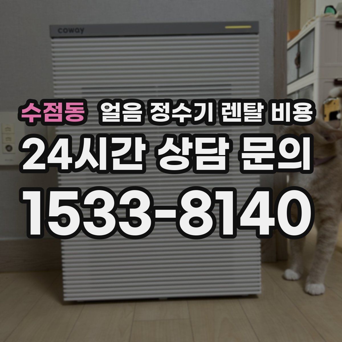 수점동 얼음 정수기 렌탈 비용 싱크대형과 스탠드형 차이