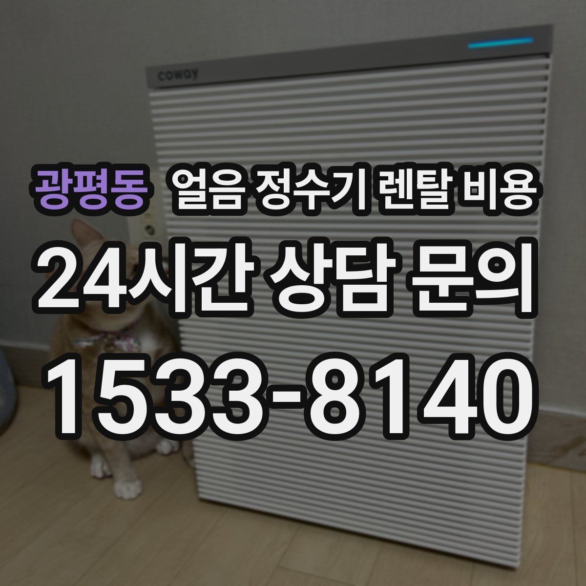 광평동 얼음 정수기 렌탈 비용 부모님 사용 고려한 선택 기준