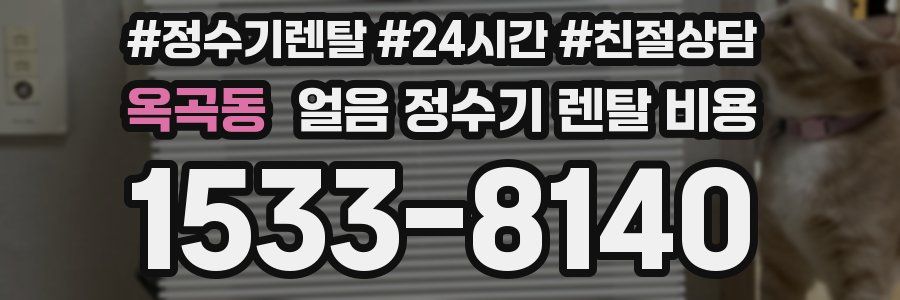 옥곡동 얼음 정수기 렌탈 비용