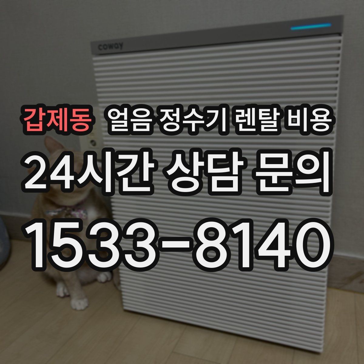 갑제동 얼음 정수기 렌탈 비용 빌트인형이 필요한 경우 정리