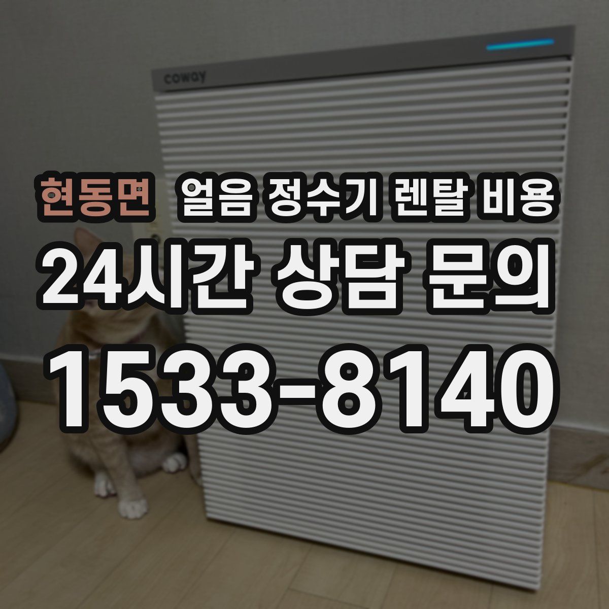 현동면 얼음 정수기 렌탈 비용