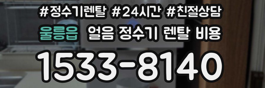 울릉읍 얼음 정수기 렌탈 비용