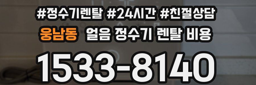 웅남동 얼음 정수기 렌탈 비용