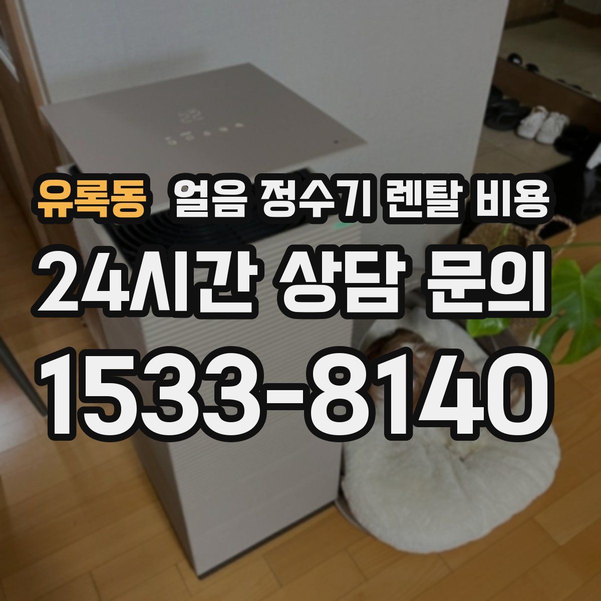 유록동 얼음 정수기 렌탈 비용