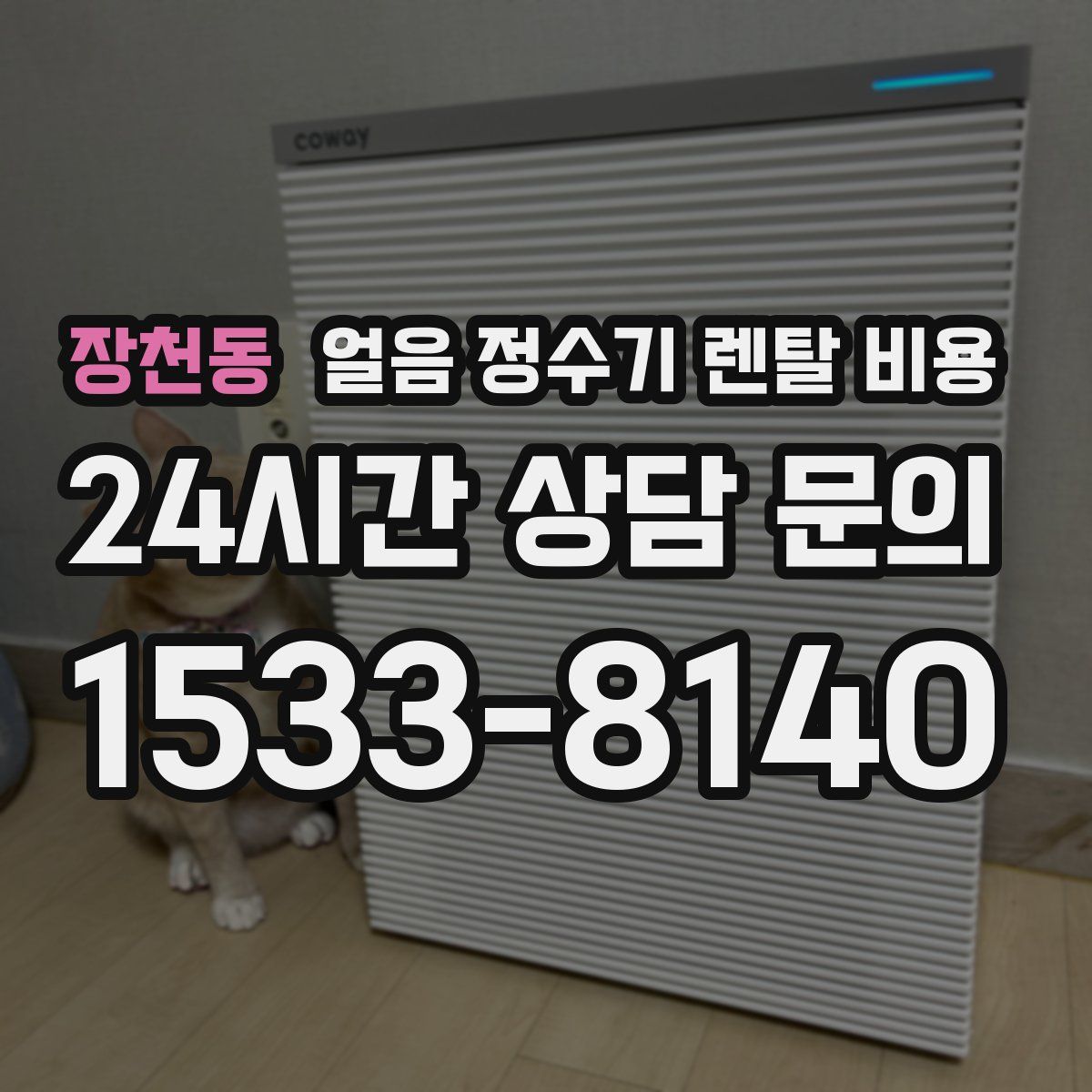 장천동 얼음 정수기 렌탈 비용