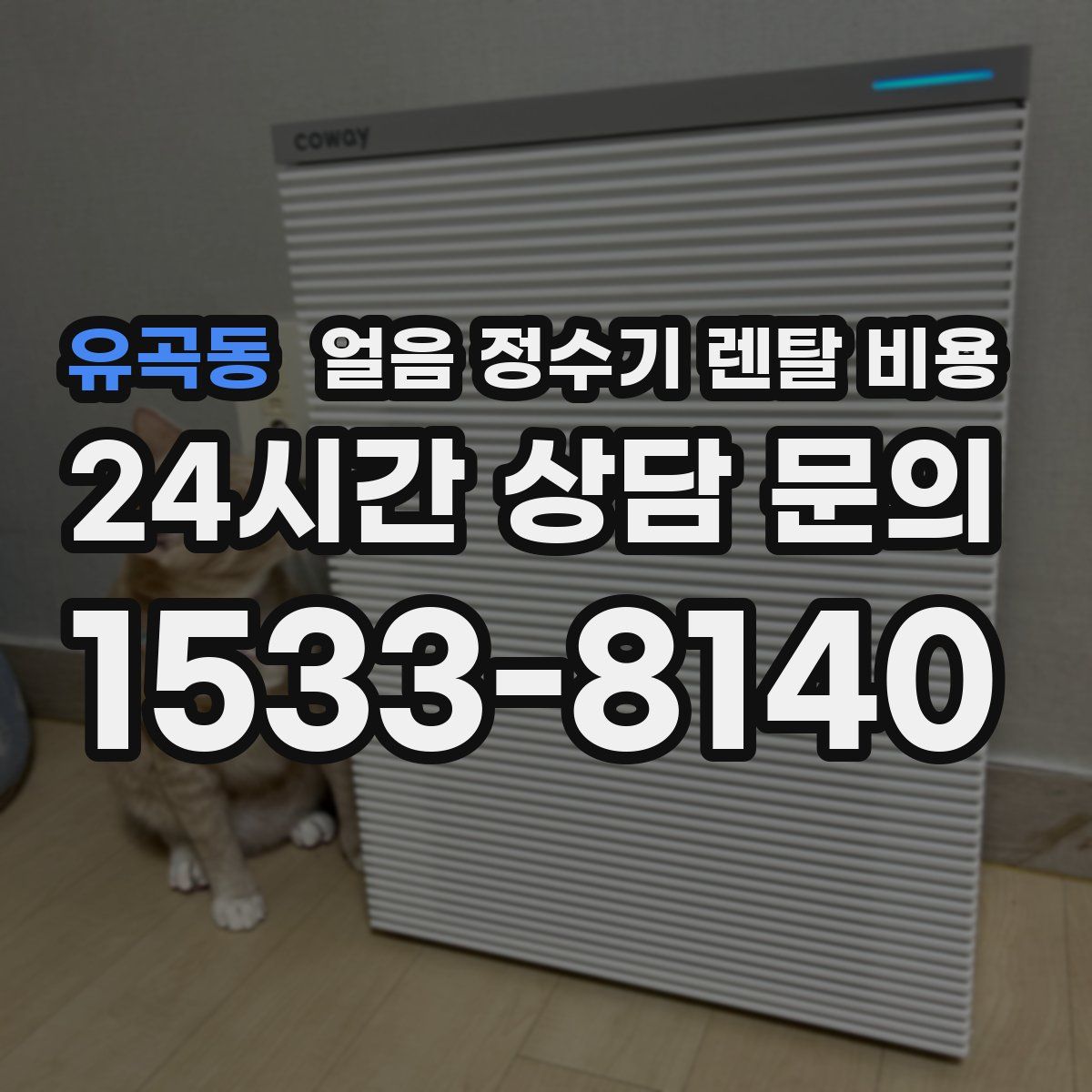 유곡동 얼음 정수기 렌탈 비용