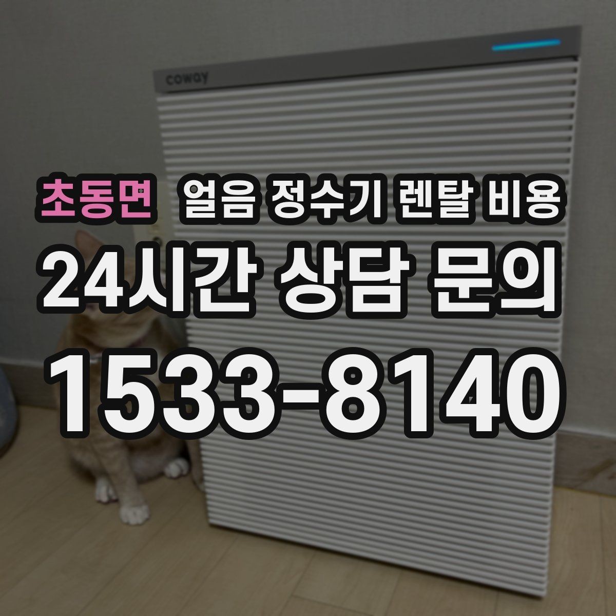 초동면 얼음 정수기 렌탈 비용 관리 방식에 따라 달라지는 비용