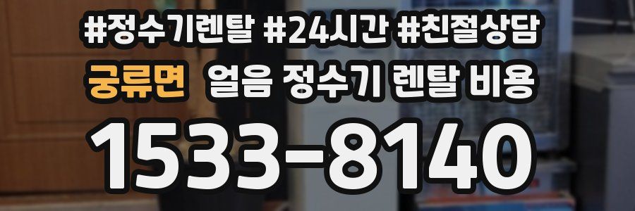 궁류면 얼음 정수기 렌탈 비용