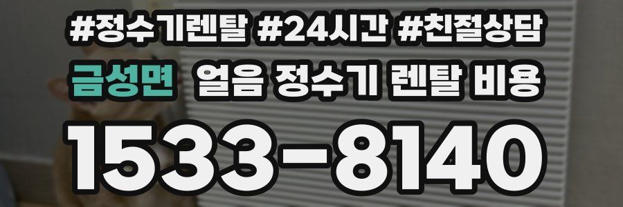 금성면 얼음 정수기 렌탈 비용