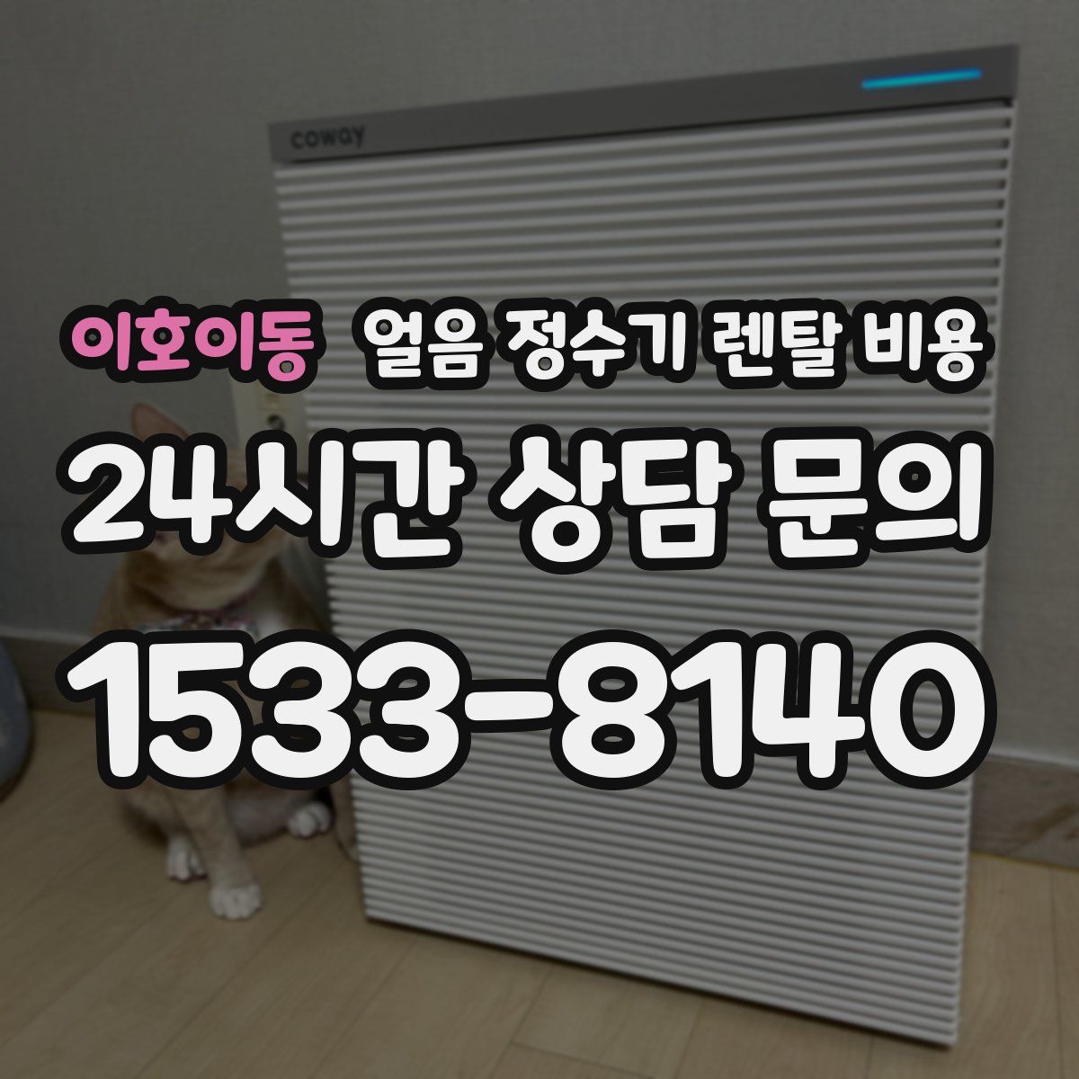 이호이동 얼음 정수기 렌탈 비용