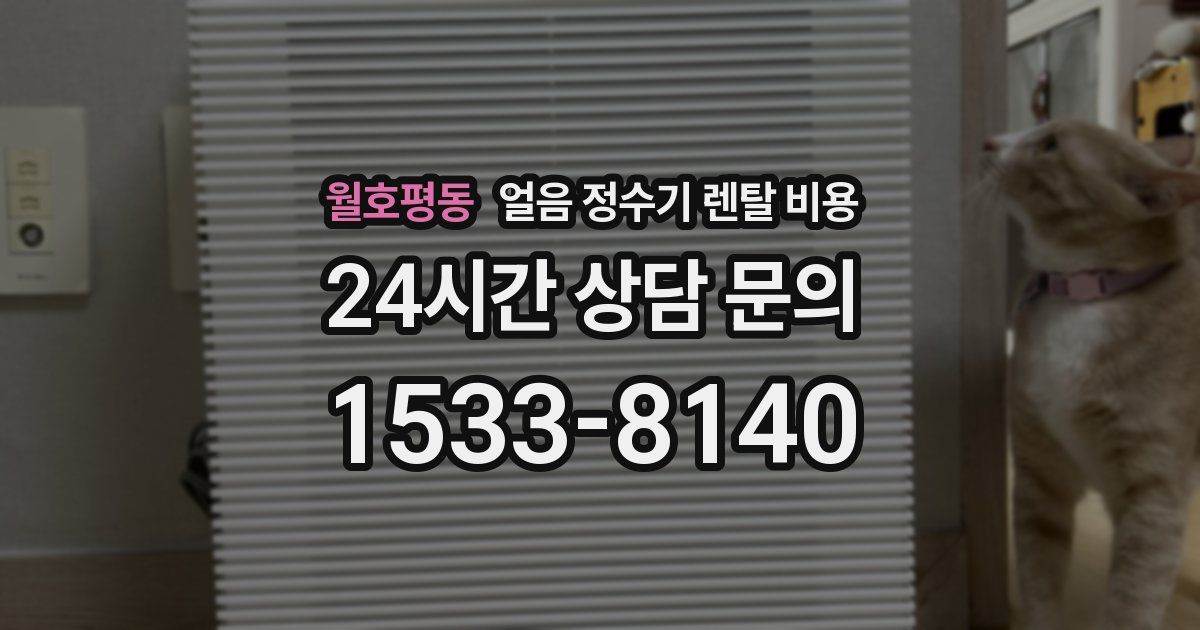 월호평동 얼음 정수기 렌탈 비용
