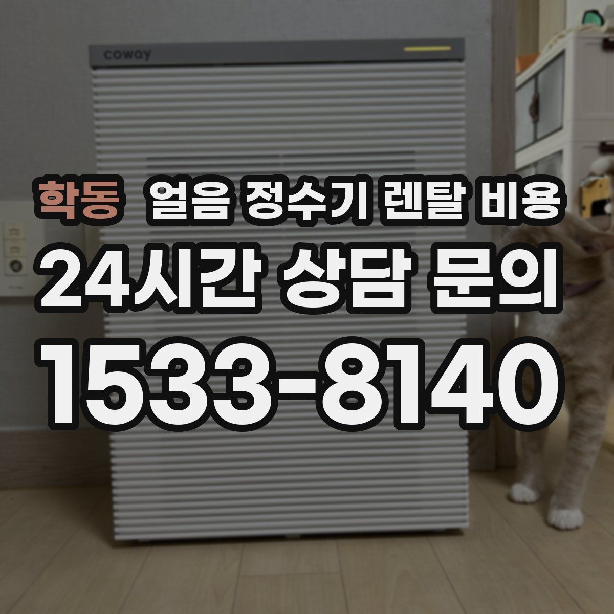 학동 얼음 정수기 렌탈 비용