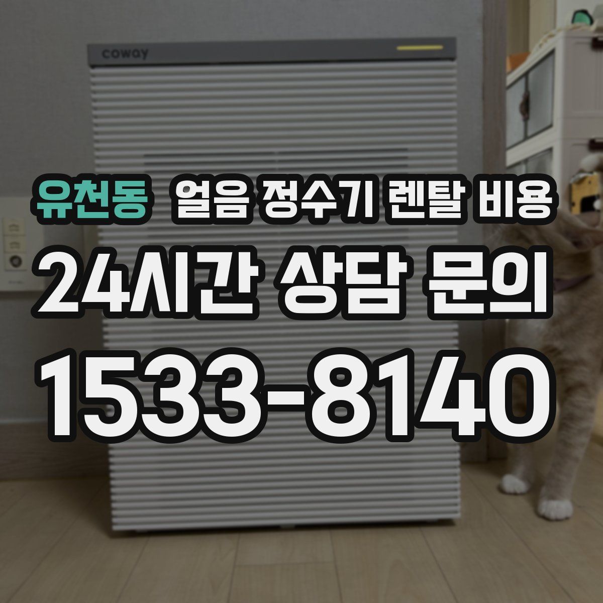 유천동 얼음 정수기 렌탈 비용