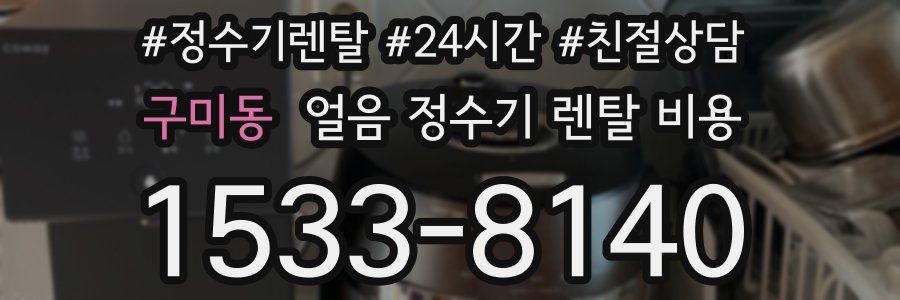 구미동 얼음 정수기 렌탈 비용