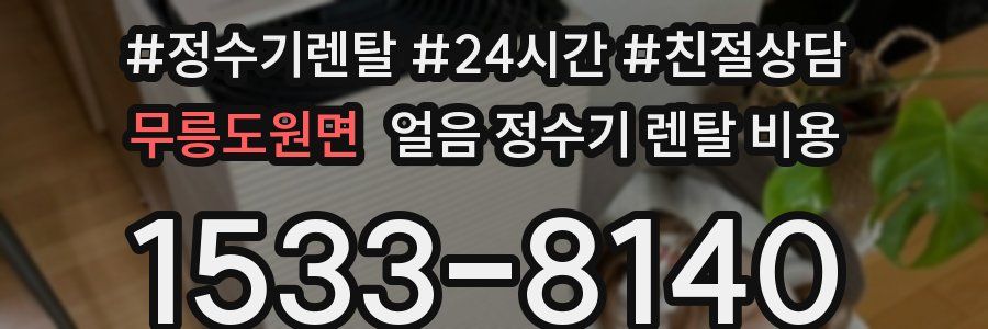 무릉도원면 얼음 정수기 렌탈 비용