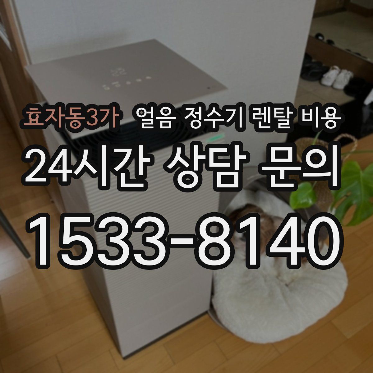 효자동3가 얼음 정수기 렌탈 비용