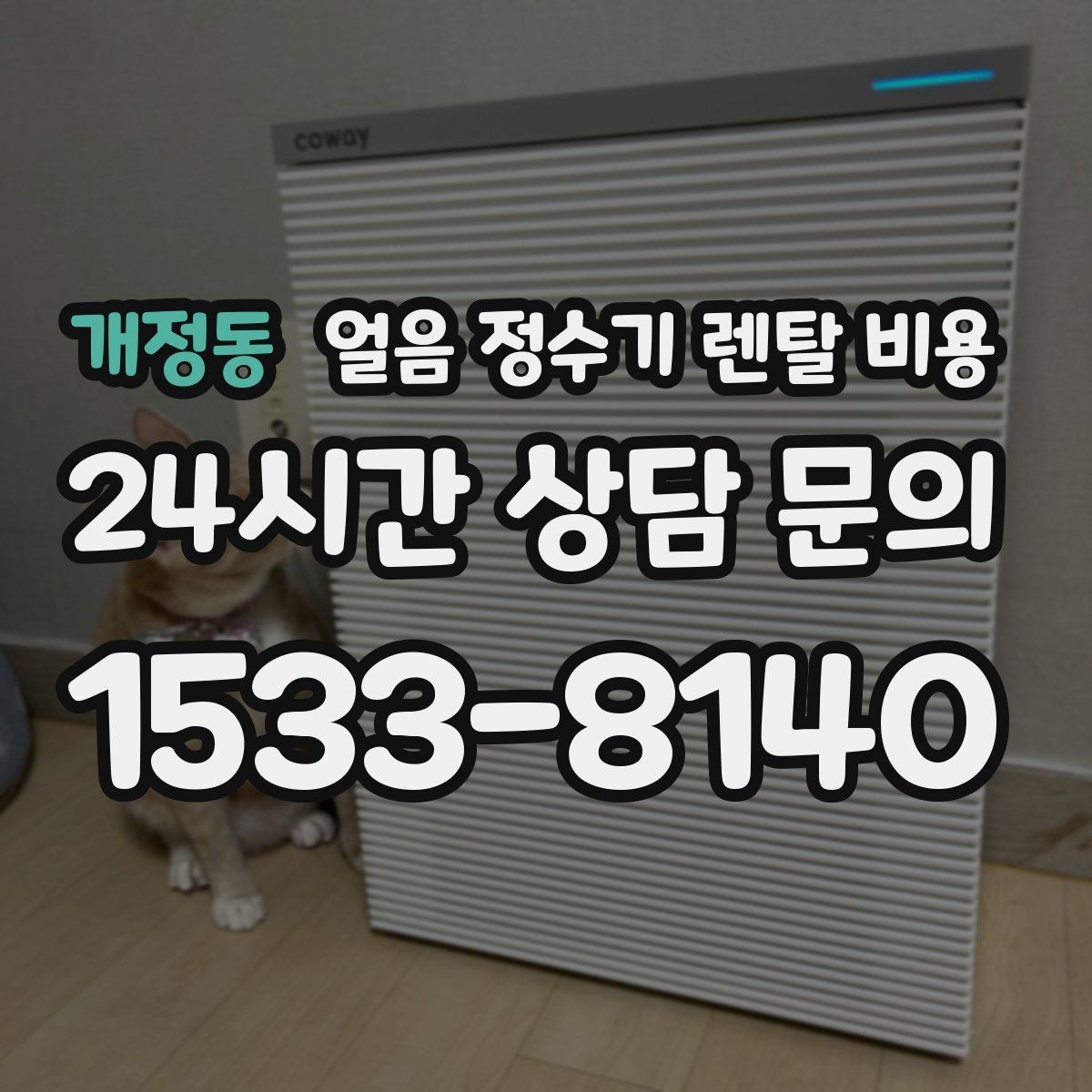 개정동 얼음 정수기 렌탈 비용 선택 전 비교 질문 정리