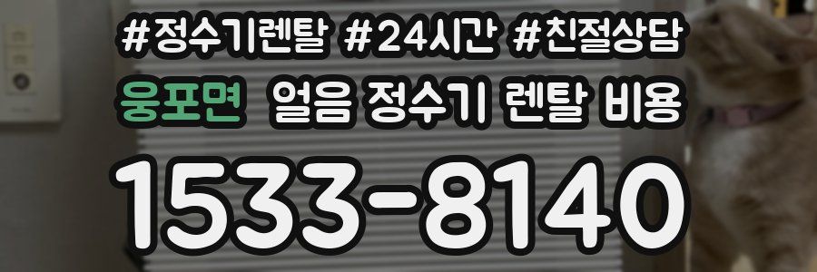 웅포면 얼음 정수기 렌탈 비용