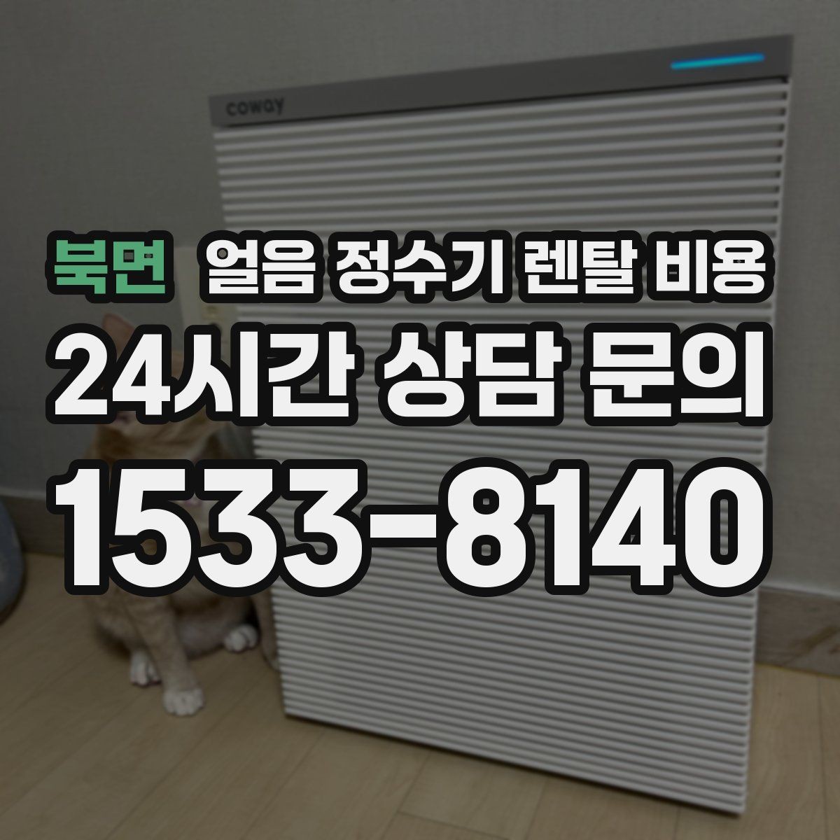 북면 얼음 정수기 렌탈 비용 3년과 5년 약정 비교 정리