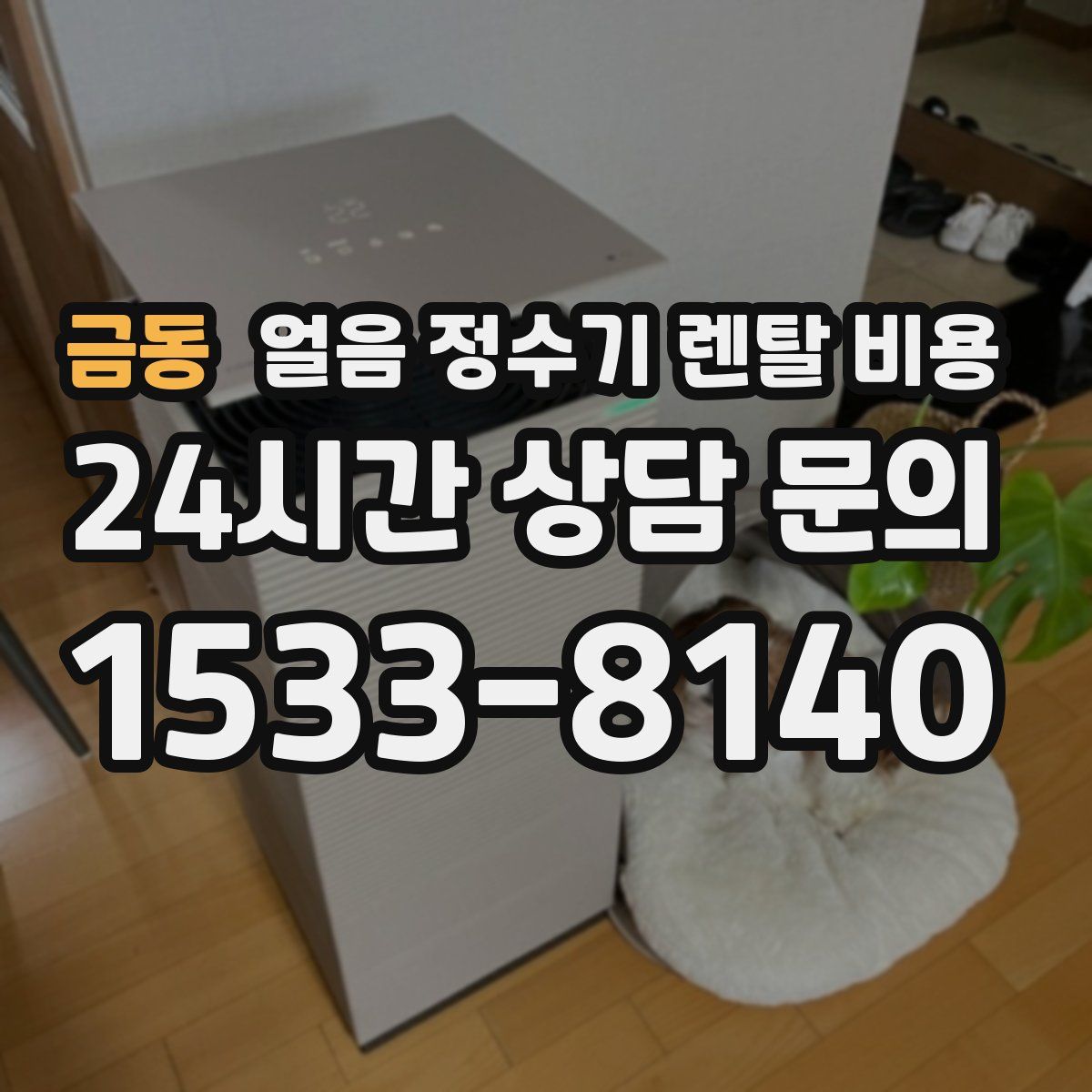 금동 얼음 정수기 렌탈 비용