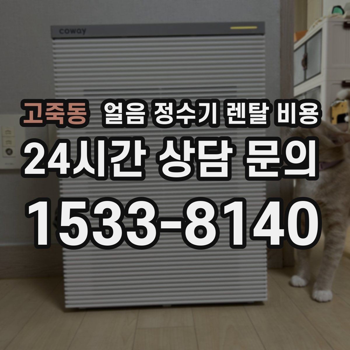 고죽동 얼음 정수기 렌탈 비용 부모님 댁 설치 시 고려사항