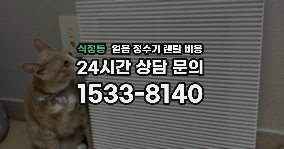 식정동 얼음 정수기 렌탈 비용