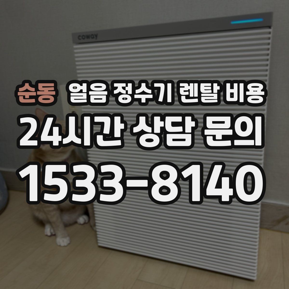 순동 얼음 정수기 렌탈 비용 불필요한 기능 줄이는 기준