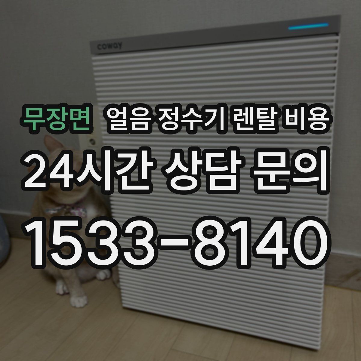 무장면 얼음 정수기 렌탈 비용 위생 민감한 집의 선택 기준