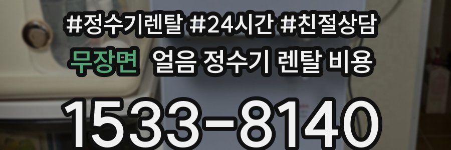 무장면 얼음 정수기 렌탈 비용
