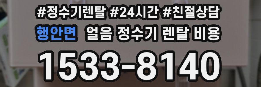 행안면 얼음 정수기 렌탈 비용