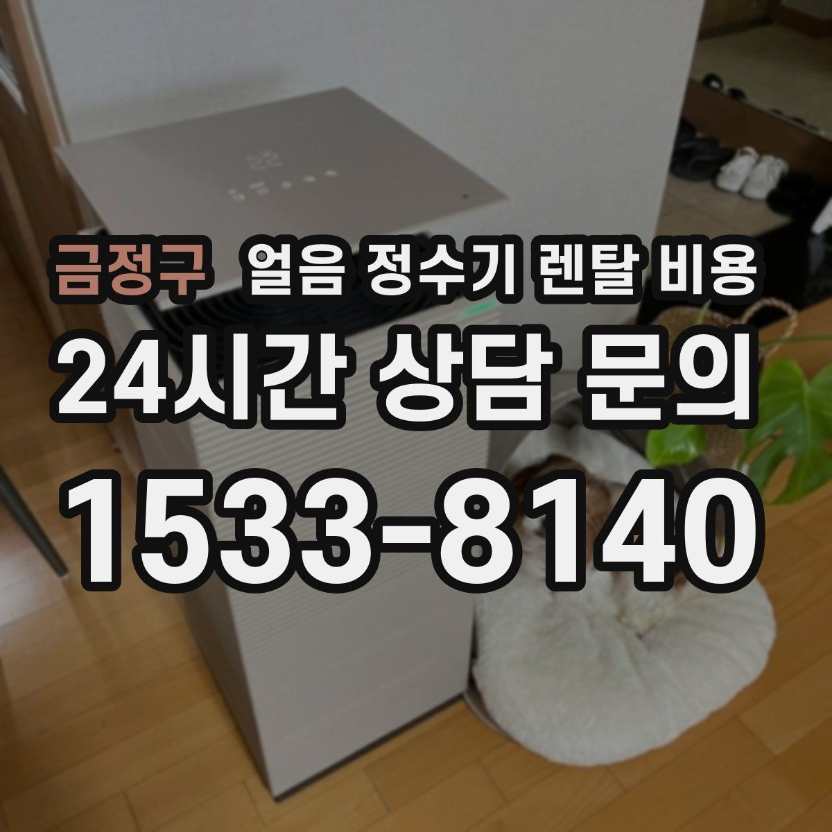 금정구 얼음 정수기 렌탈 비용 얼음 기능이 중요한 집의 특징