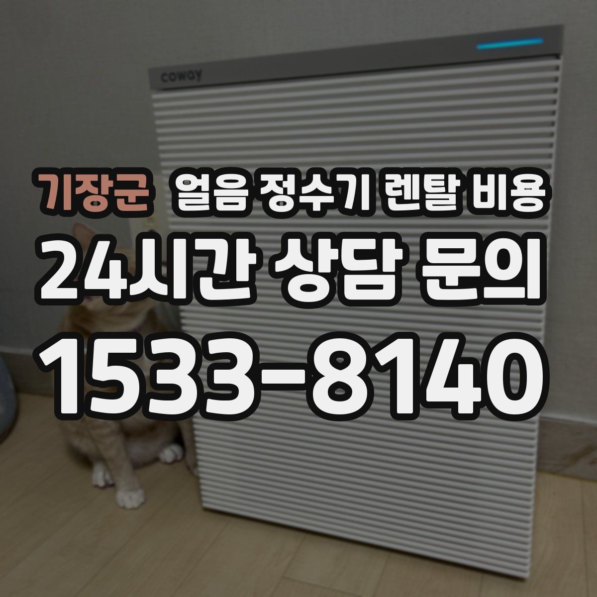 기장군 얼음 정수기 렌탈 비용 유지비까지 포함해 보는 방법