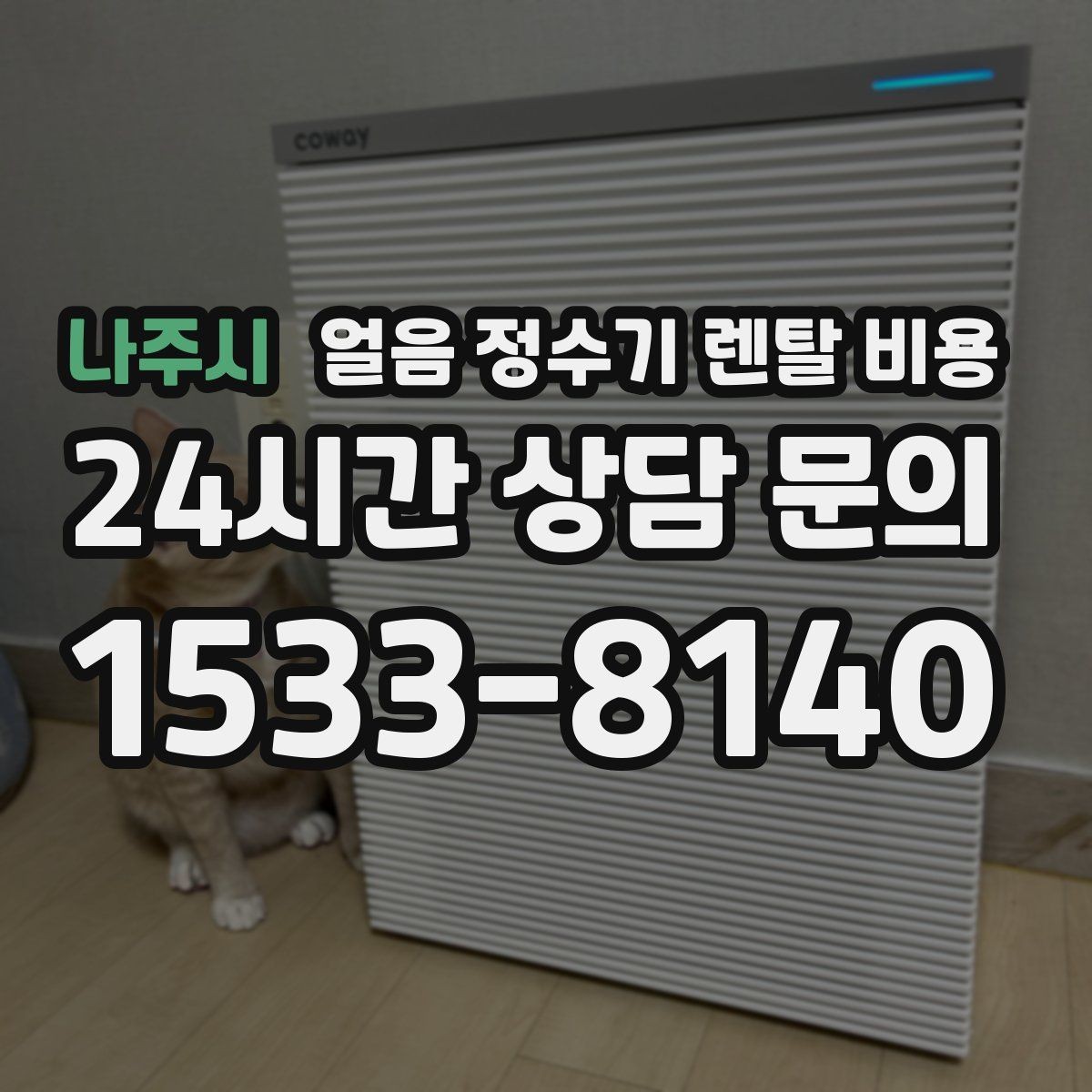 나주시 얼음 정수기 렌탈 비용 냉온 기능 포함 여부에 따른 차이