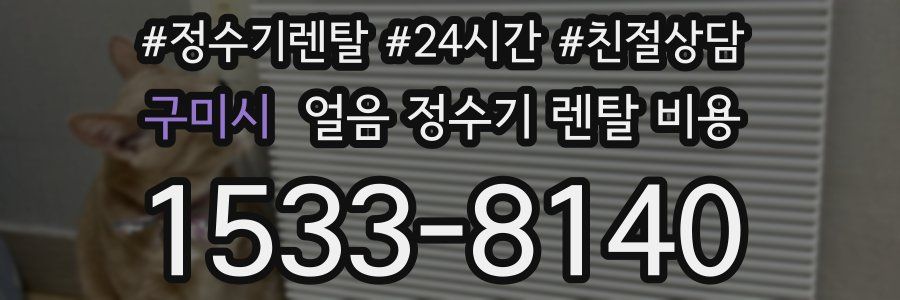 구미시 얼음 정수기 렌탈 비용