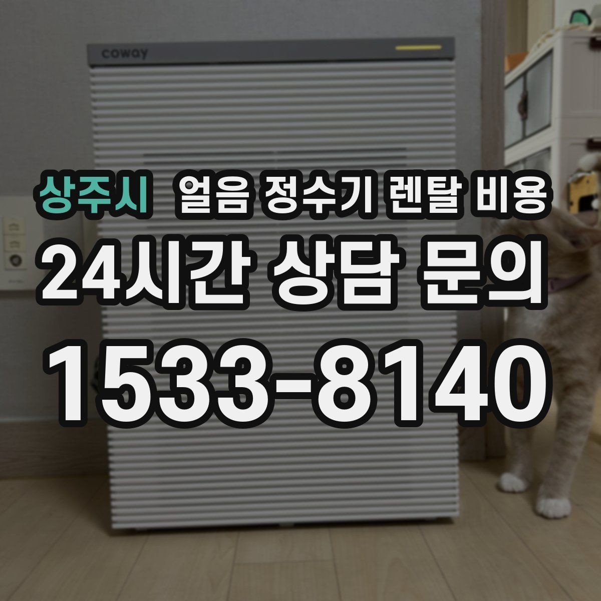 상주시 얼음 정수기 렌탈 비용 필터 비용 포함 여부 확인 방법