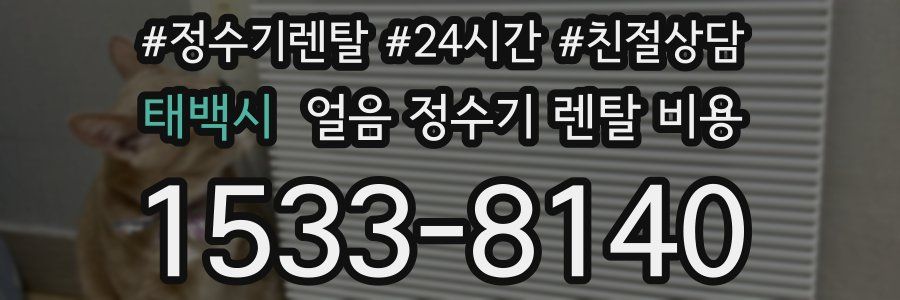 태백시 얼음 정수기 렌탈 비용