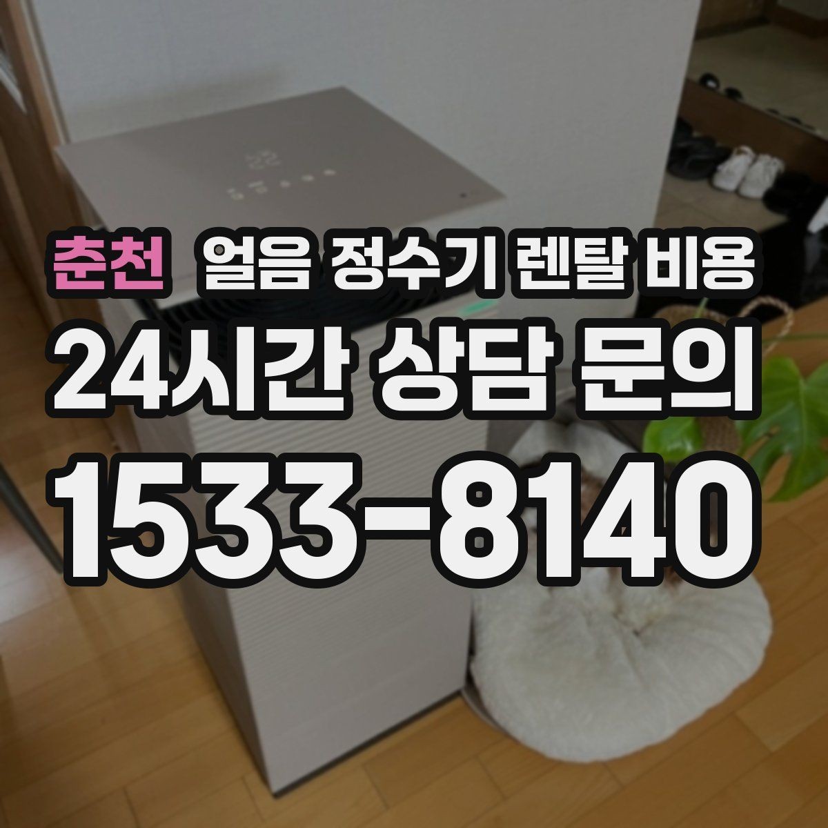 춘천 얼음 정수기 렌탈 비용 핵심만 비교해도 충분한 이유