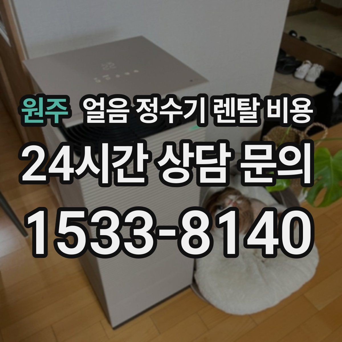 원주 얼음 정수기 렌탈 비용 얼음 저장 용량에 따른 차이