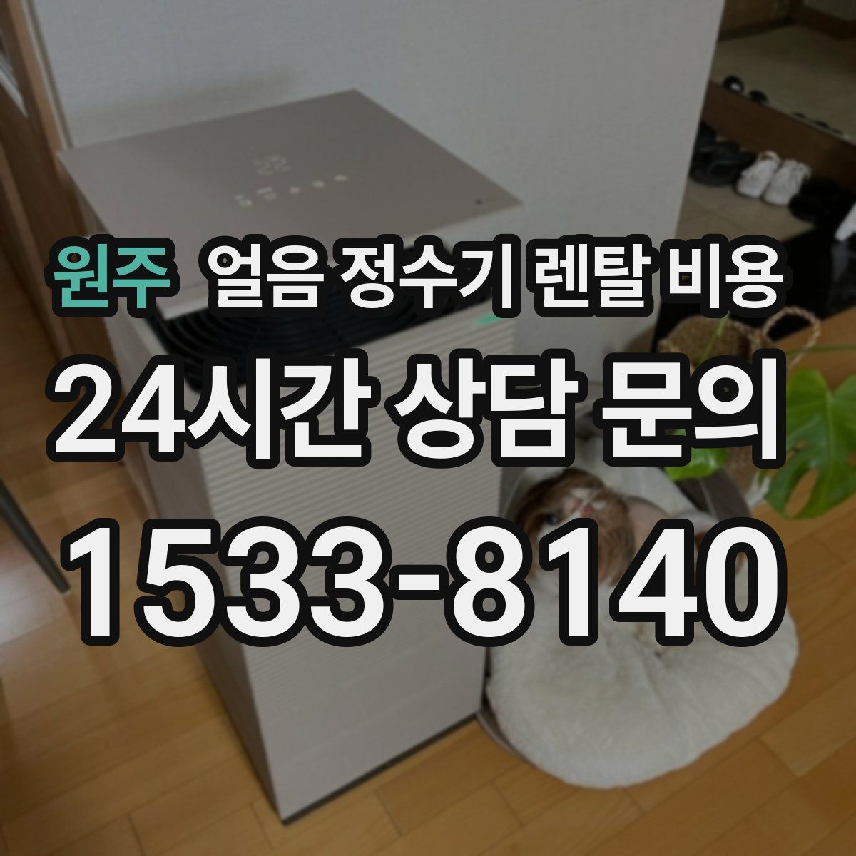 원주 얼음 정수기 렌탈 비용