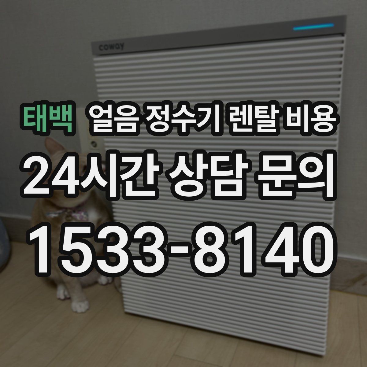 태백 얼음 정수기 렌탈 비용 월 부담 줄이면서 선택하는 방법