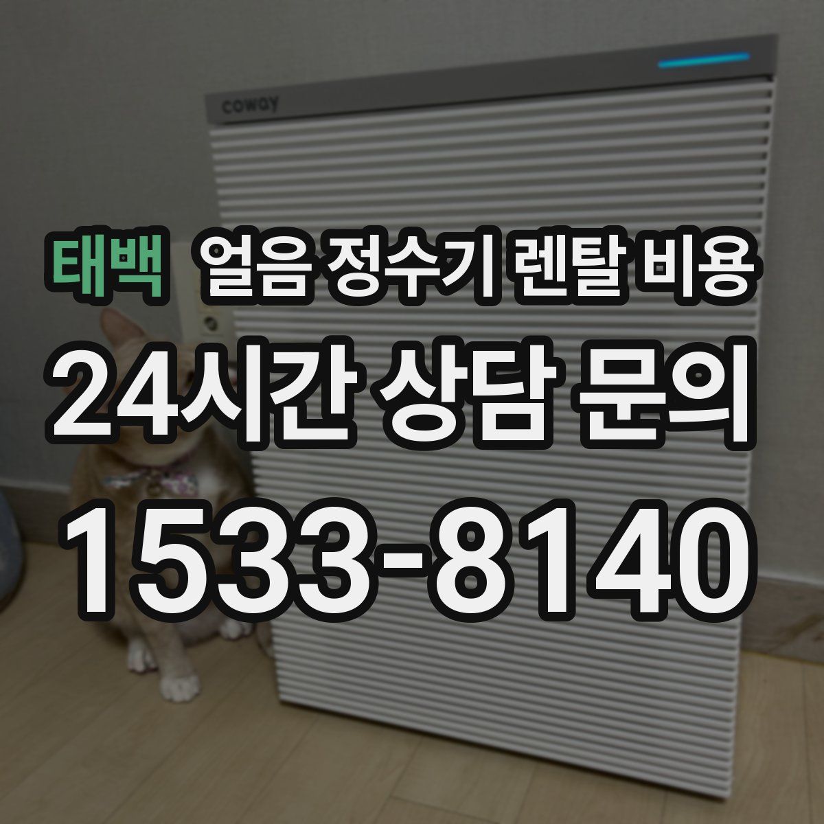 태백 얼음 정수기 렌탈 비용