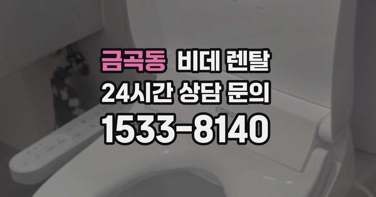 금곡동 비데 렌탈